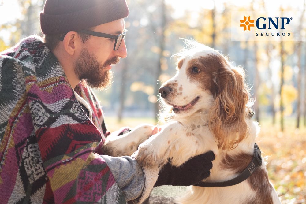 Seguro de Vida Alto Rendimiento y Protección