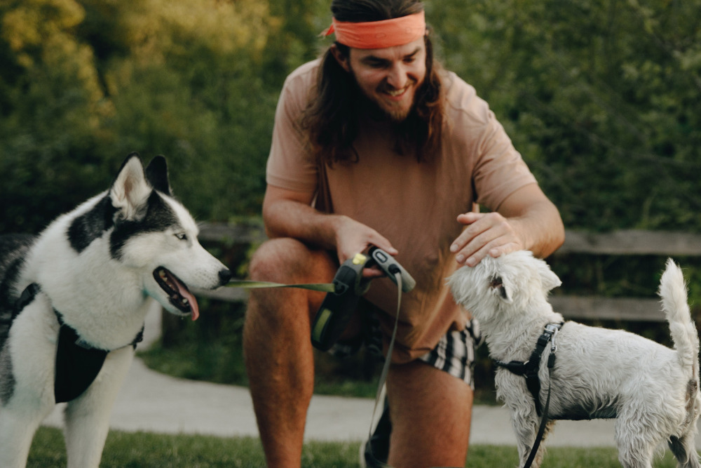 Los amores más lindos están llenos de pelos, GNP te asiste para cuidar y consentir a tu lomito en todo momento