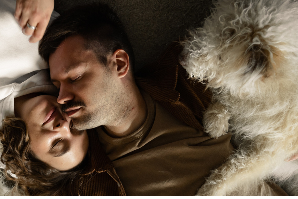 La felicidad incluye un peludo, cuida su salud con un seguro de Gastos Médicos con GNP